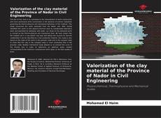 Valorization of the clay material of the Province of Nador in Civil Engineering的封面