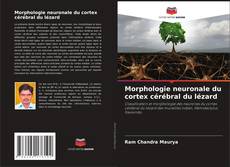 Обложка Morphologie neuronale du cortex cérébral du lézard