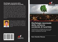 Buchcover von Morfologia neuronale della corteccia cerebrale di lucertola