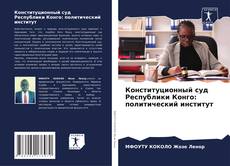 Конституционный суд Республики Конго: политический институт kitap kapağı
