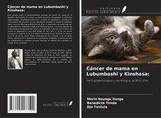 Couverture de Cáncer de mama en Lubumbashi y Kinshasa: