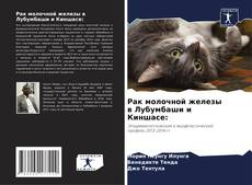 Couverture de Рак молочной железы в Лубумбаши и Киншасе: