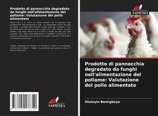 Buchcover von Prodotto di pannocchia degradato da funghi nell'alimentazione del pollame: Valutazione del pollo alimentato