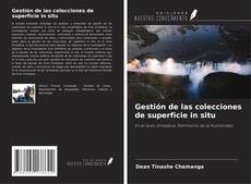Couverture de Gestión de las colecciones de superficie in situ