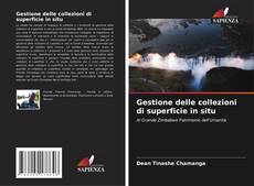 Buchcover von Gestione delle collezioni di superficie in situ