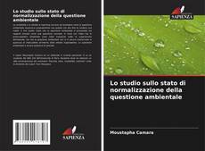 Buchcover von Lo studio sullo stato di normalizzazione della questione ambientale