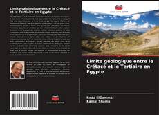 Limite géologique entre le Crétacé et le Tertiaire en Egypte的封面