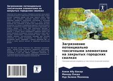 Couverture de Загрязнение потенциально токсичными элементами на закрытых городских свалках