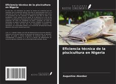 Portada del libro de Eficiencia técnica de la piscicultura en Nigeria