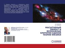 Copertina di МАСШТАБНЫЙ ЭФФЕКТ И ВОЗМОЖНЫЕ КРИТЕРИИ ЕДИНОЙ ТЕОРИИ ФИЗИКИ