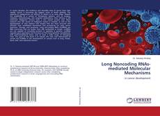 Copertina di Long Noncoding RNAs-mediated Molecular Mechanisms