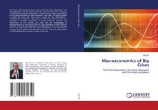 Macroeconomics of Big Crises的封面