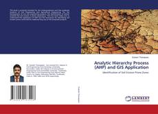 Copertina di Analytic Hierarchy Process (AHP) and GIS Application