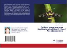 Copertina di Бабочки медведицы (Lepidoptera:Erebidae:Arctiinae) Азербайджана