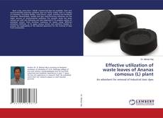 Copertina di Effective utilization of waste leaves of Ananas comosus (L) plant