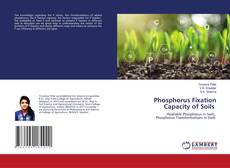 Copertina di Phosphorus Fixation Capacity of Soils