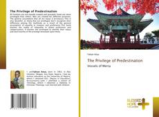 Bookcover of The Privilege of Predestination