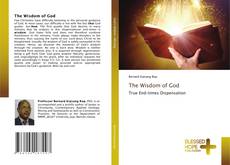 Capa do livro de The Wisdom of God 