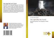 Capa do livro de The Light After the Tunnel 