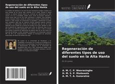 Buchcover von Regeneración de diferentes tipos de uso del suelo en la Alta Hanta