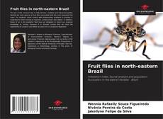 Copertina di Fruit flies in north-eastern Brazil
