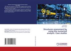 Copertina di Structures assessment by using the numerical analysis. Case studies