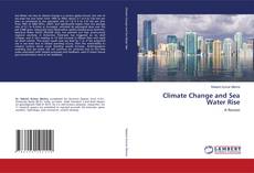 Copertina di Climate Change and Sea Water Rise