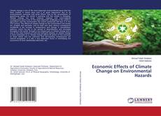 Buchcover von Economic Effects of Climate Change on Environmental Hazards