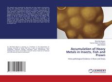 Copertina di Accumulation of Heavy Metals in Insects, Fish and Prawn