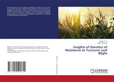 Copertina di Insights of Genetics of Resistance to Turcicum Leaf Blight