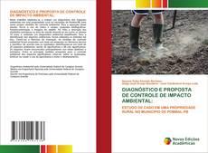 DIAGNÓSTICO E PROPOSTA DE CONTROLE DE IMPACTO AMBIENTAL:的封面