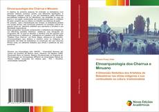 Copertina di Etnoarqueologia dos Charrua e Minuano