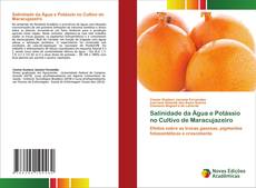 Copertina di Salinidade da Água e Potássio no Cultivo de Maracujazeiro