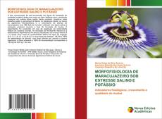 MORFOFISIOLOGIA DE MARACUJAZEIRO SOB ESTRESSE SALINO E POTÁSSIO的封面