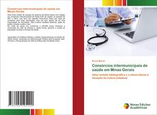 Copertina di Consórcios intermunicipais de saúde em Minas Gerais