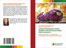 Copertina di CARACTERIZAÇÃO FISICO QUÍMICA DO REPOLHO ROXO PÓS COLHEITA -