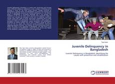 Copertina di Juvenile Delinquency in Bangladesh