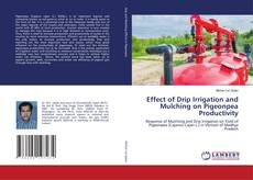 Copertina di Effect of Drip Irrigation and Mulching on Pigeonpea Productivity
