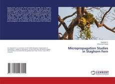 Copertina di Micropropagation Studies in Staghorn Fern