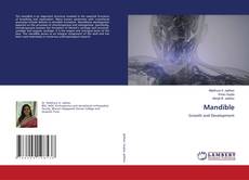 Copertina di Mandible
