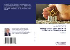 Copertina di Management Bank and Non Bank Financial Institution