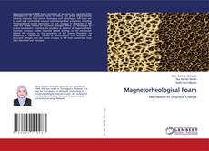 Buchcover von Magnetorheological Foam