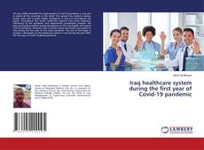 Buchcover von Iraq healthcare system during the first year of Covid-19 pandemic