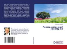 Copertina di Пространственный мониторинг