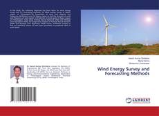 Copertina di Wind Energy Survey and Forecasting Methods