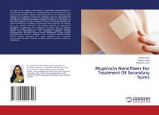 Copertina di Mupirocin Nanofibers For Treatment Of Secondary burns