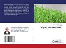 Sugar Cane Insect Pests的封面