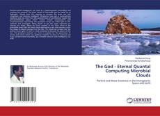 Copertina di The God - Eternal Quantal Computing Microbial Clouds