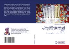Copertina di Financial Resources and Performance of Youth-led SMEs