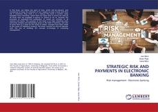 Copertina di STRATEGIC RISK AND PAYMENTS IN ELECTRONIC BANKING